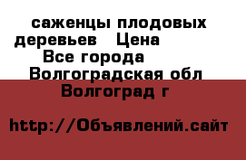 саженцы плодовых деревьев › Цена ­ 6 080 - Все города  »    . Волгоградская обл.,Волгоград г.